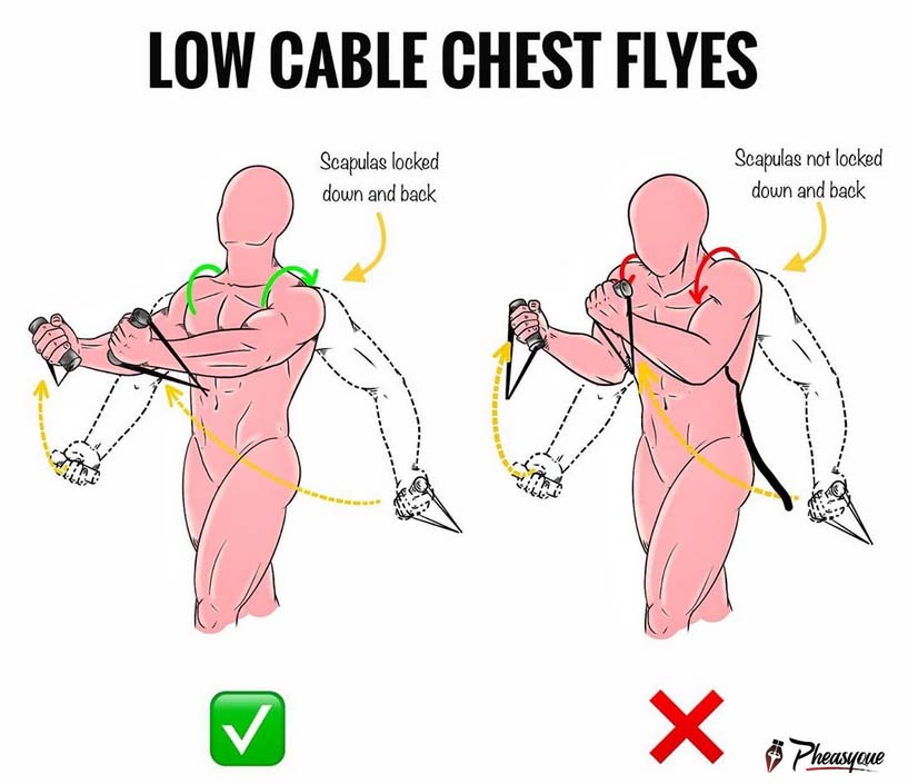 Low Cable Chest Flyes Voltrx